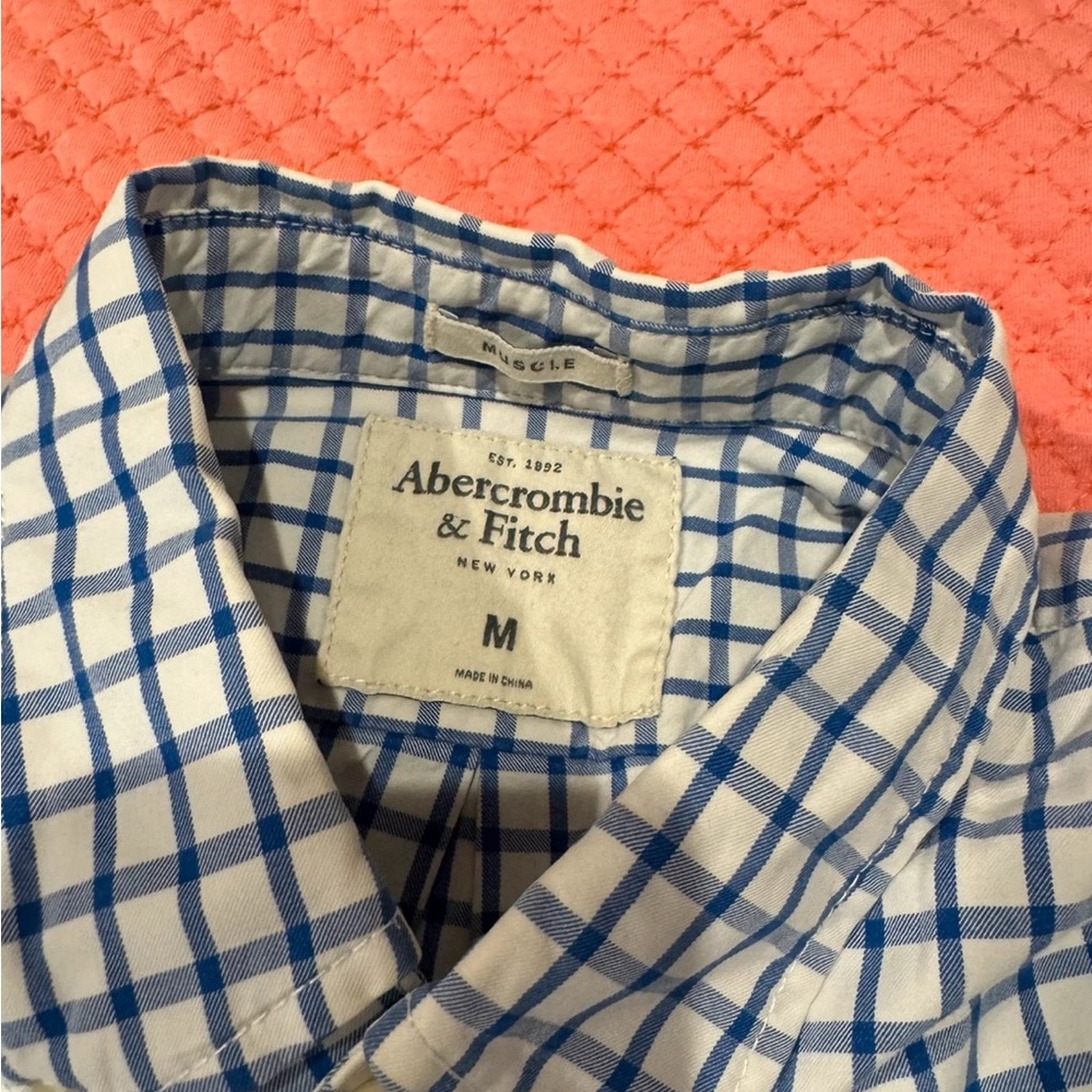 Abercrombie & Fitch Blue Casual Button Down Shirt